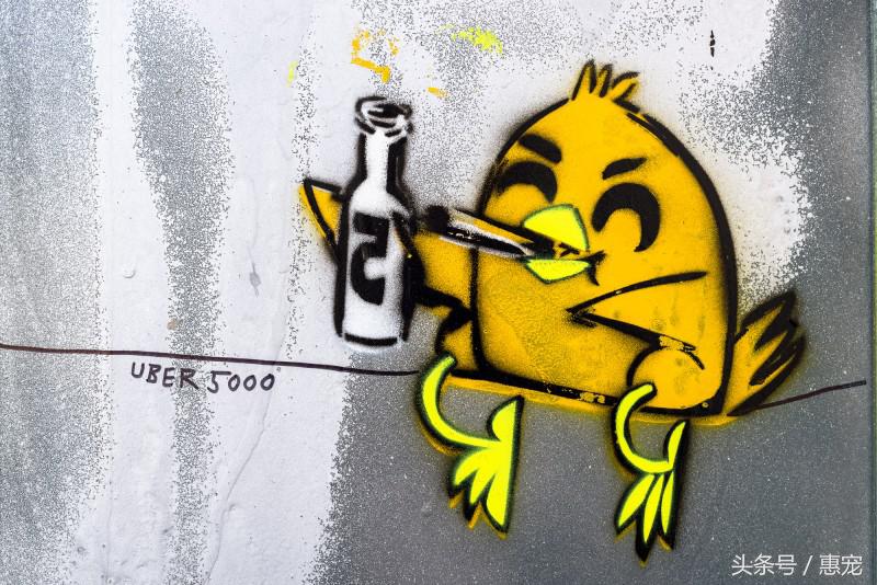 养着宠物还抽烟，你是拿它们的小命儿来燃烧！