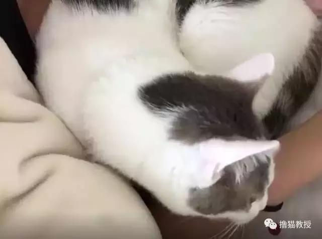 这样的叫床方式，有点一言难尽！