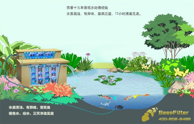 锦鲤鱼池过滤设备价格,鱼池净化过滤设备排行