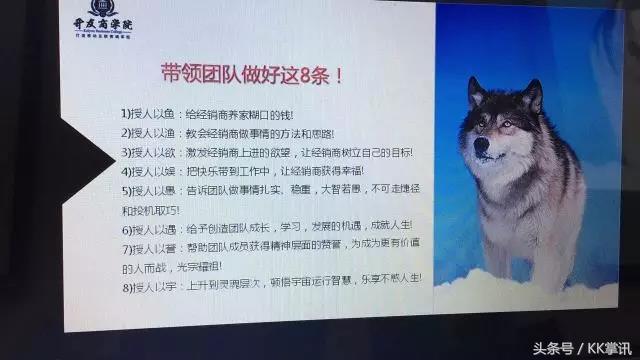 与狼共舞：上海交通大学微商总裁班十一期学员分享
