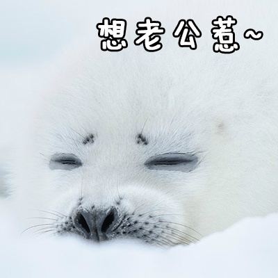 跟老公男朋友聊天专用微信QQ萌萌可爱带字表情包