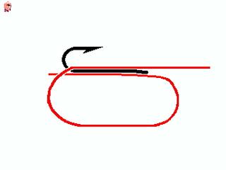 钓鱼绑钩方法图解教程大全,钓鱼教程三种常见的绑钩小技巧