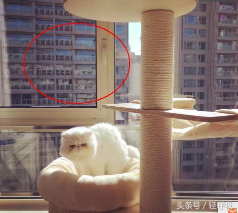 陈赫买豪华豪宅,陈赫住大豪宅