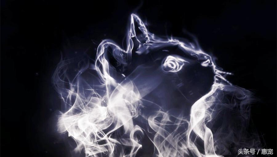 养着宠物还抽烟，你是拿它们的小命儿来燃烧！