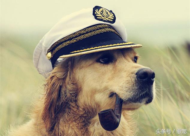 养着宠物还抽烟，你是拿它们的小命儿来燃烧！