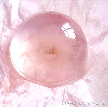 迪奥香奈儿和圣罗兰哪个好看,圣罗兰dior香奈儿谁最好