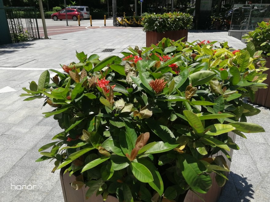 光荣9高配和标配区别在哪,光荣9支持ufs3.0吗