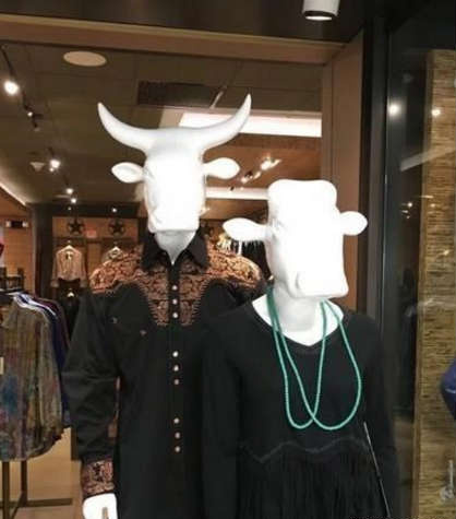 养生笑话荟萃,笑话荟萃