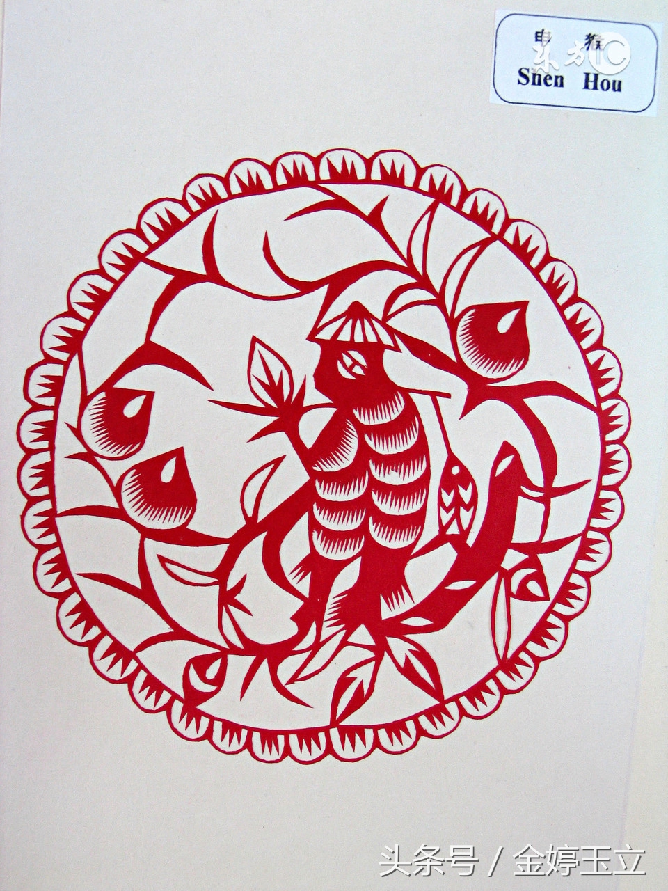 属猴生肖的要几月出生的运势较好,生肖属猴的人什么时候出生最好呢