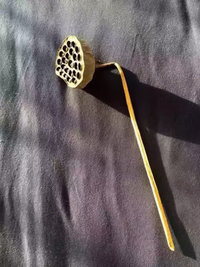 躲得过对酒当歌躲不过夜深人静,躲得过对酒当歌的夜却躲不过