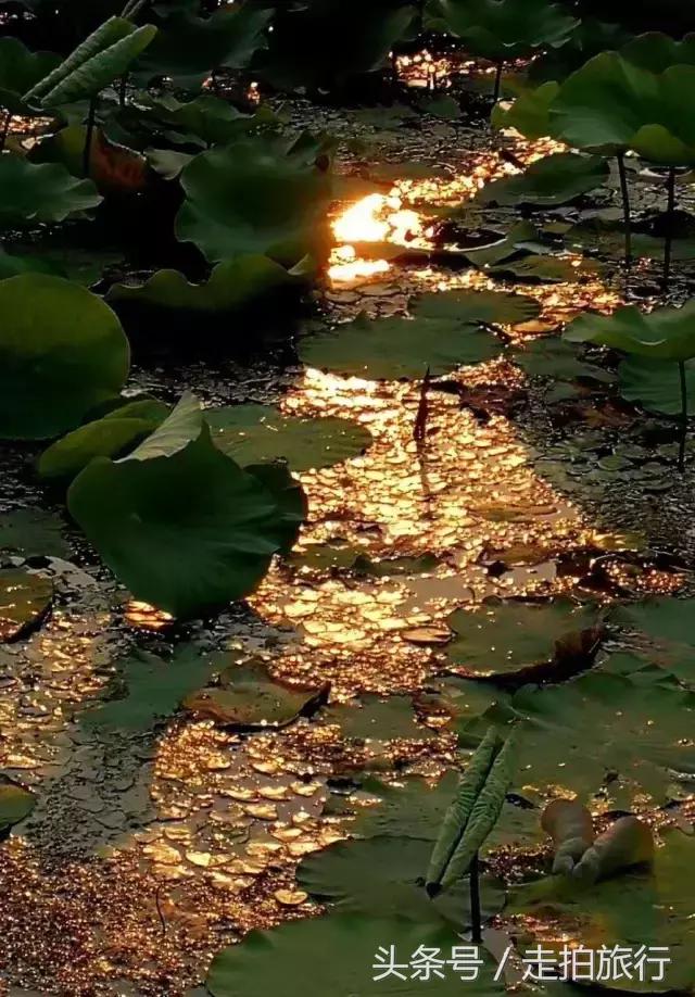 滁州游玩攻略潮玩街区,滁州最值得玩的地方