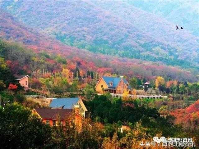 海淀最有文化气息的地方,海淀有文化底蕴的地方