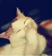 二次元的那些事：www——敲出的不是网站，而是牙齿