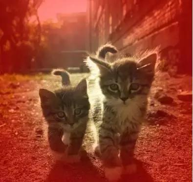 如何用ps蒙版功能练线条,如何用ps蒙版抠图