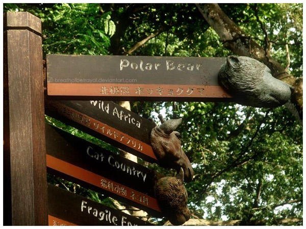 特点创意标志,创意标识的魅力