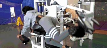 臀腿力量强化训练：6个动作强化臀腿增强下肢关节保护力量