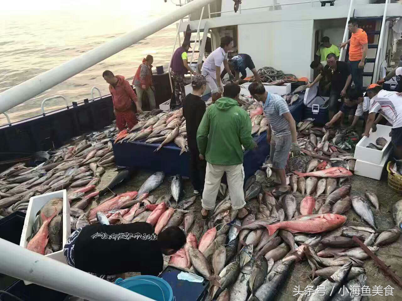 海南岛海钓钓点大全,海南人农村小沟野钓