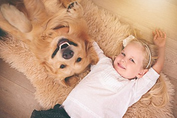 狗狗过敏反应四大主要原因,狗狗突然过敏怎么办最有效