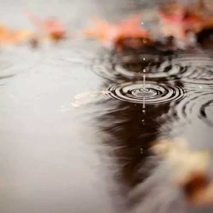 年少无知，一个单纯男孩儿的情殇梦魇