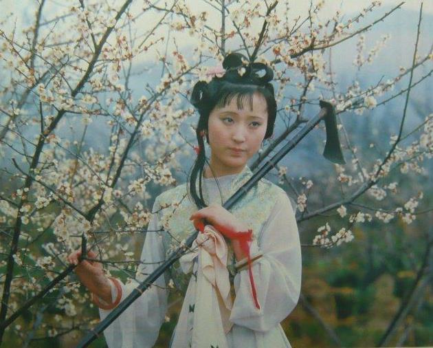 《红楼梦》书名的寓意就在书中，直指时代背景，非关哲学文化