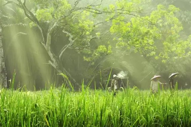 合肥土著眼中的合肥,安徽人眼中的合肥