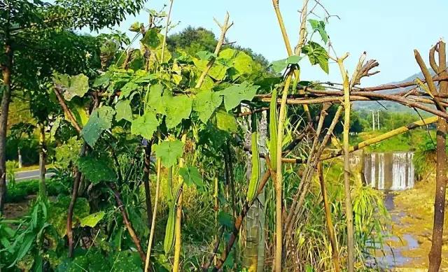 合肥土著眼中的合肥,安徽人眼中的合肥