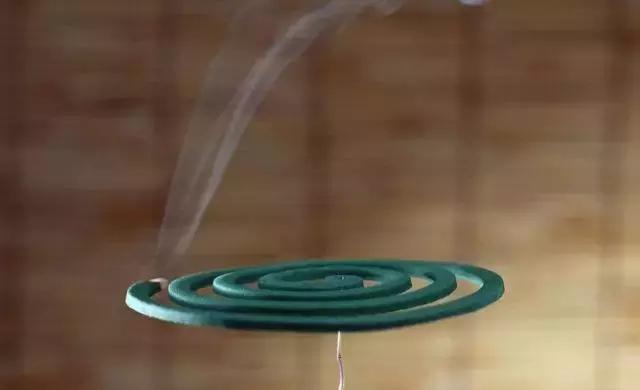 蚊子最喜欢咬什么血型的人,容易受蚊子跳蚤咬的人是什么血型