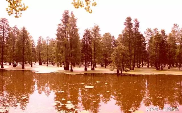 滁州游玩攻略潮玩街区,滁州最值得玩的地方