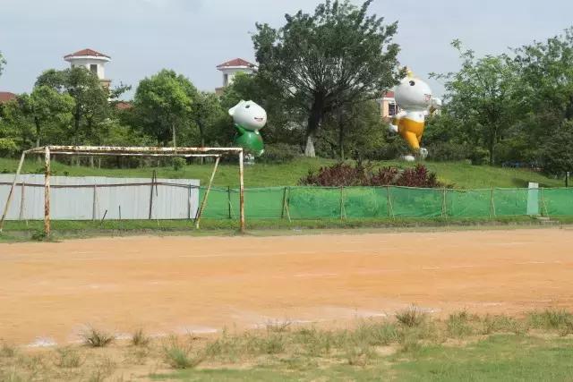 城事｜新公园要来了！打造市桥河“一河两岸”生态景观！为番禺街坊增添散步、运动好去处！