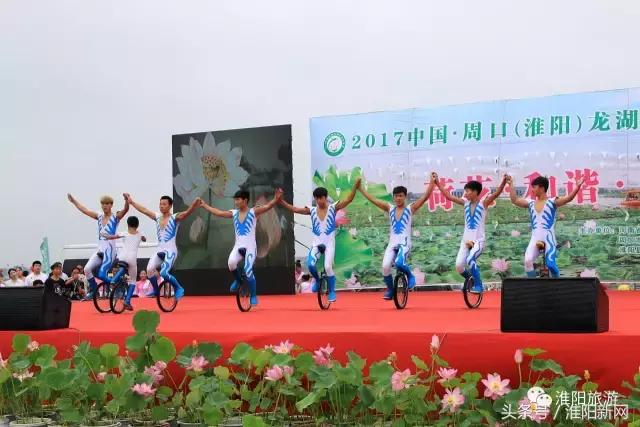 中国淮阳荷花节游龙湖赏荷花,欢迎大家来淮阳龙湖赏荷花