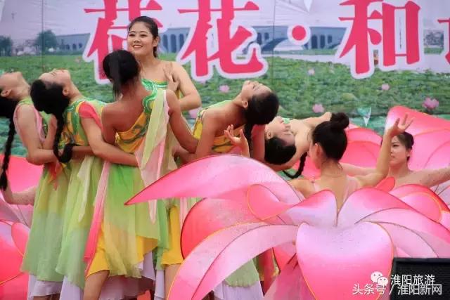 中国淮阳荷花节游龙湖赏荷花,欢迎大家来淮阳龙湖赏荷花