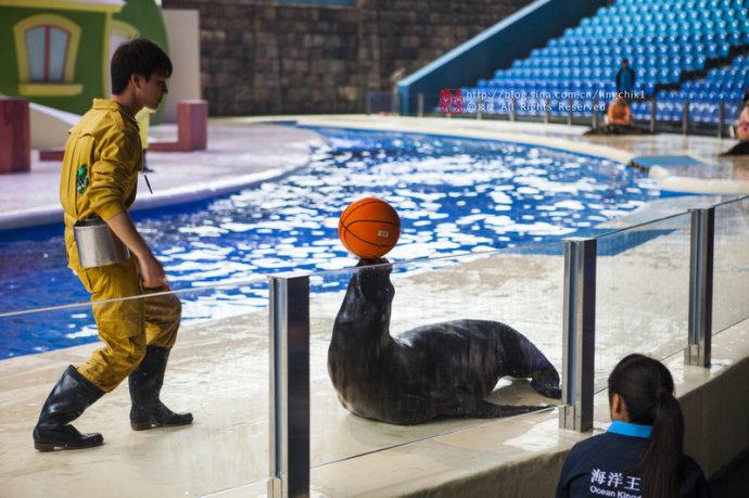 珠海长隆海洋王国游玩攻略一日游,珠海长隆海洋世界游玩攻略