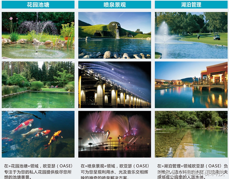 锦鲤鱼池生态循环过滤,锦鲤鱼池过滤系统视频