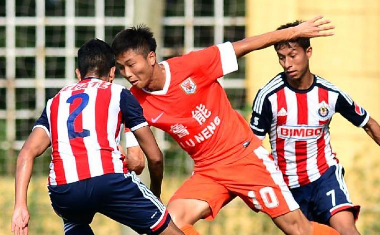 保定容大陈科睿,容大陈科睿现状