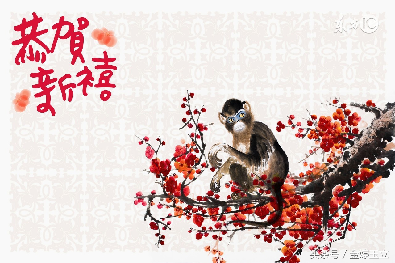 属猴生肖的要几月出生的运势较好,生肖属猴的人什么时候出生最好呢