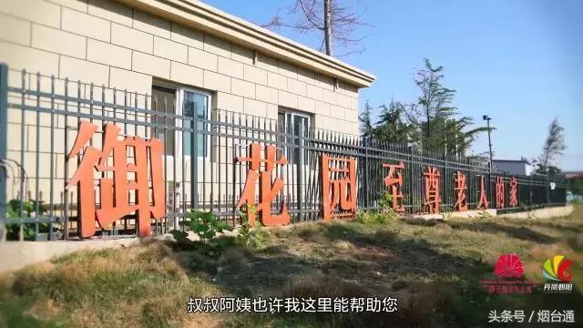 烟台还有这样的养老院？！麻将、戏曲、书法多彩生活，我也想住住