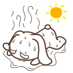 郫都室外潜水池,郫都区对外开放的潜水池