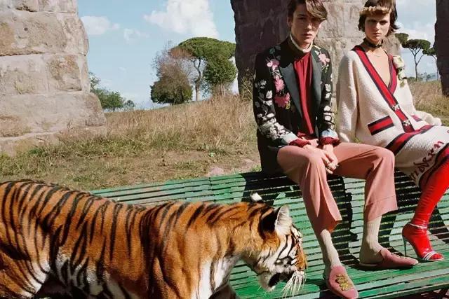 代购gucci羽绒服,gucci正品代购