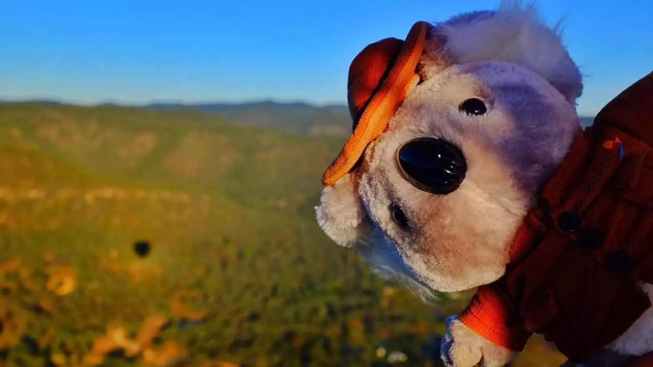 老法师的天堂！从拍照小白到摄影大V，你只差一个悉尼的距离