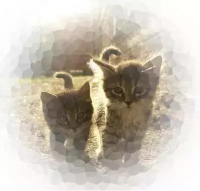 如何用ps蒙版功能练线条,如何用ps蒙版抠图