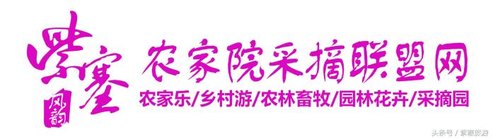 河北农家乐旅游攻略,紫塞农家院