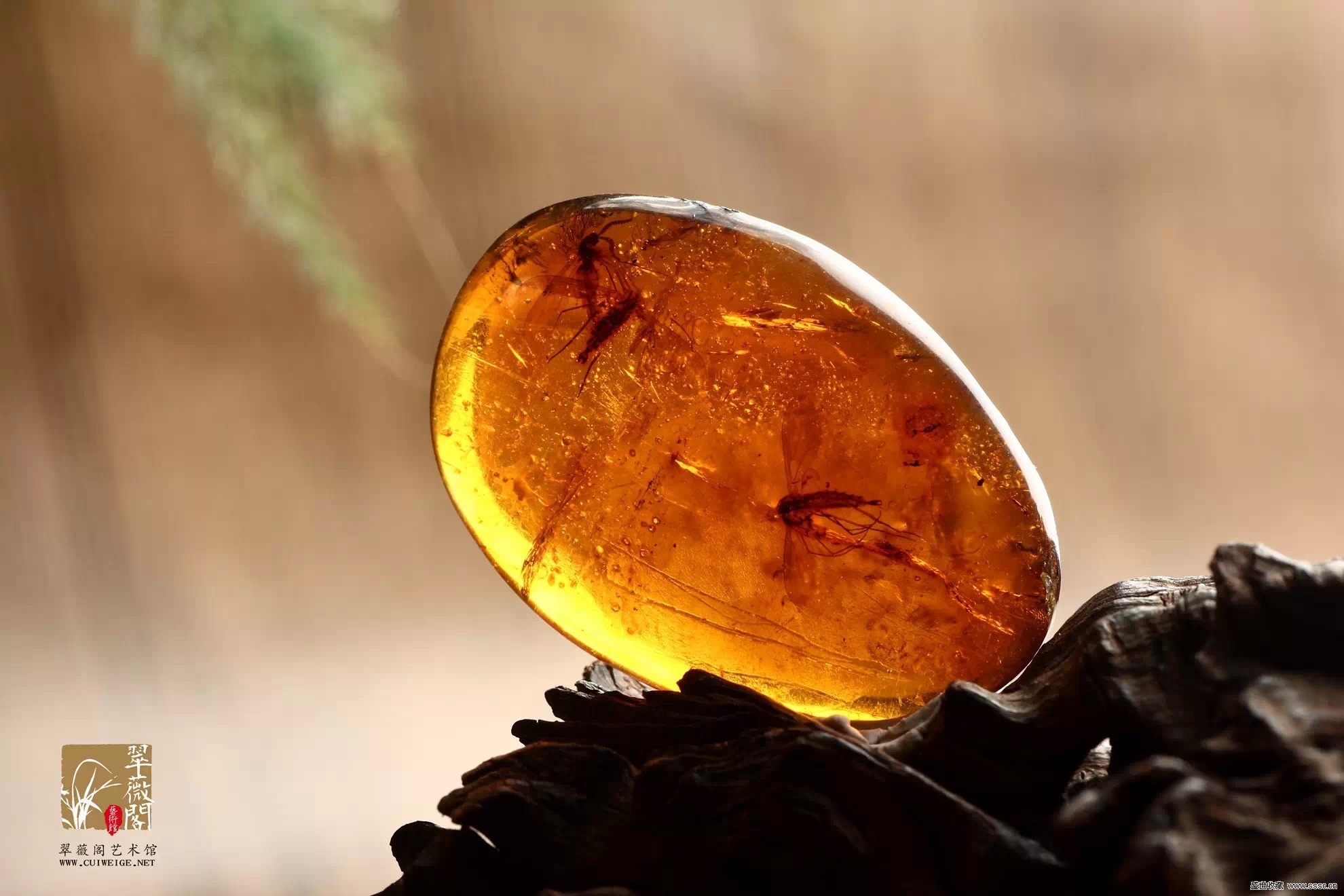 天然琥珀蜜蜡原石鉴定方法,济南琥珀蜜蜡检测鉴定