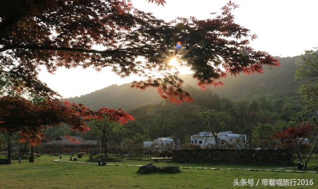 奉化旅游攻略两天一夜,十一宁波奉化旅游景点