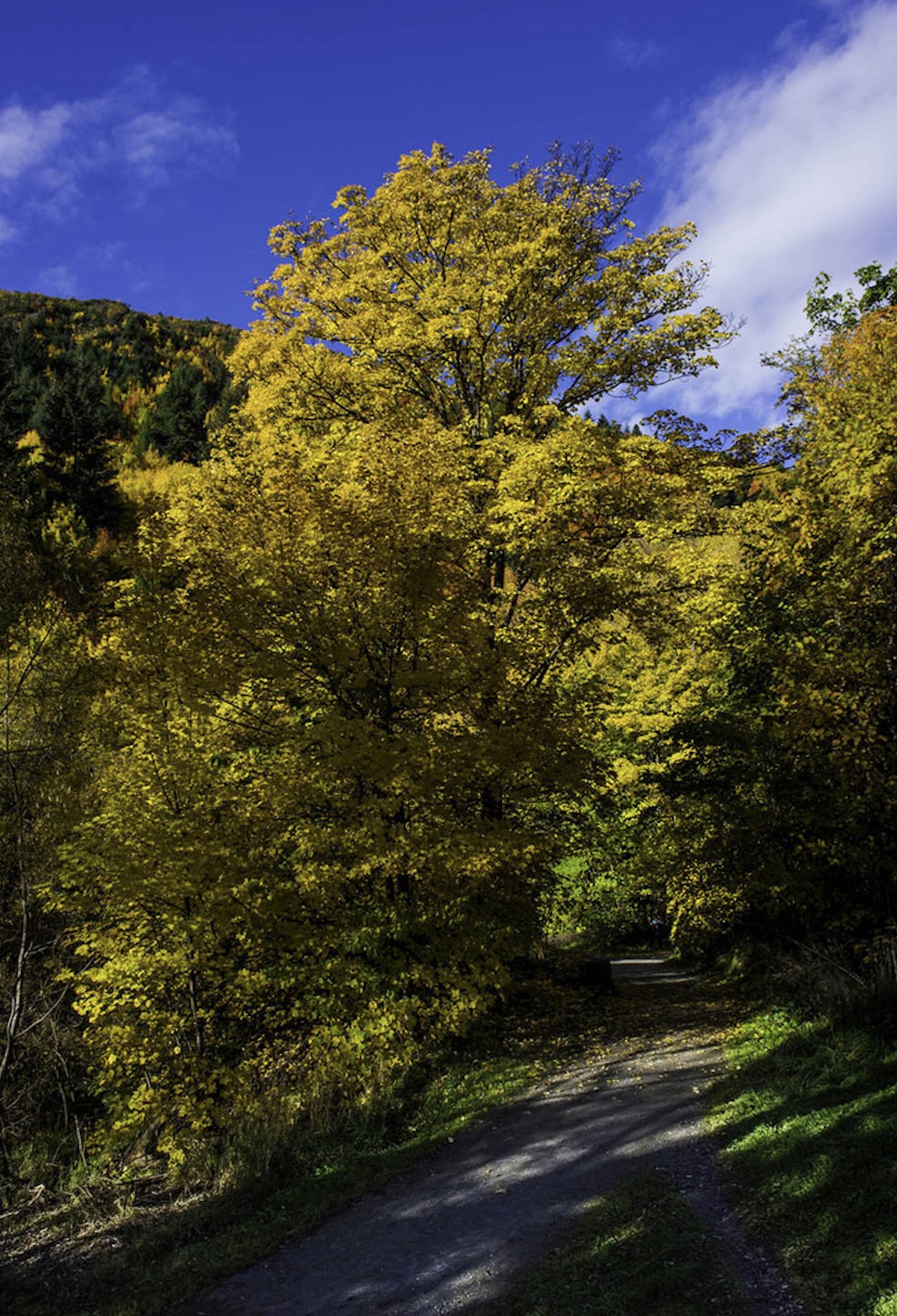 新西兰南岛的冬天,新西兰南岛秋天最佳时间