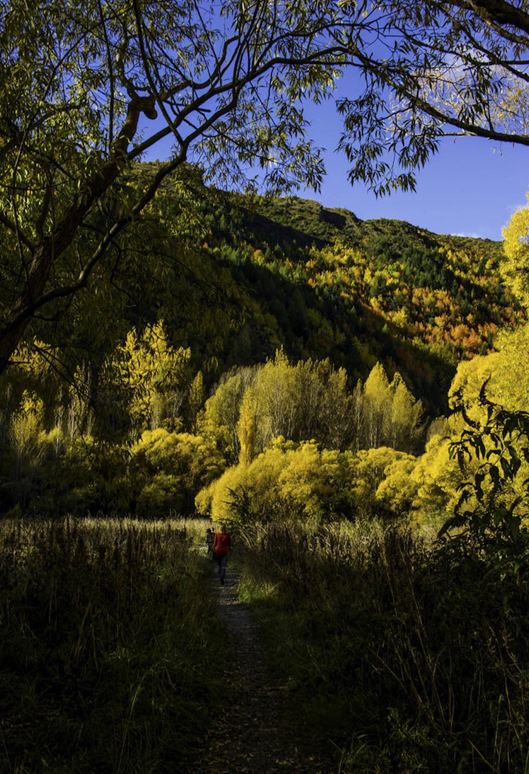 新西兰南岛的冬天,新西兰南岛秋天最佳时间