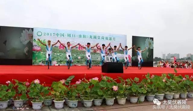 2022淮阳龙湖赏荷旅游月开幕式,中国淮阳龙湖赏荷旅游月活动启动