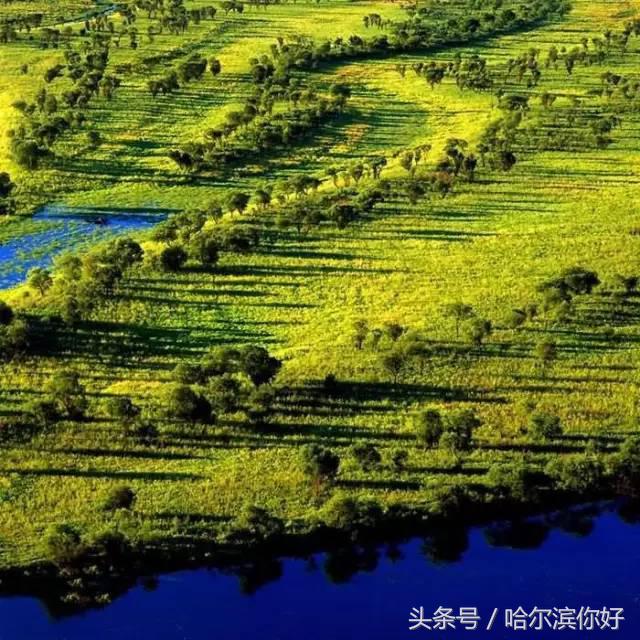 对不起，我要去黑龙江抚远了！