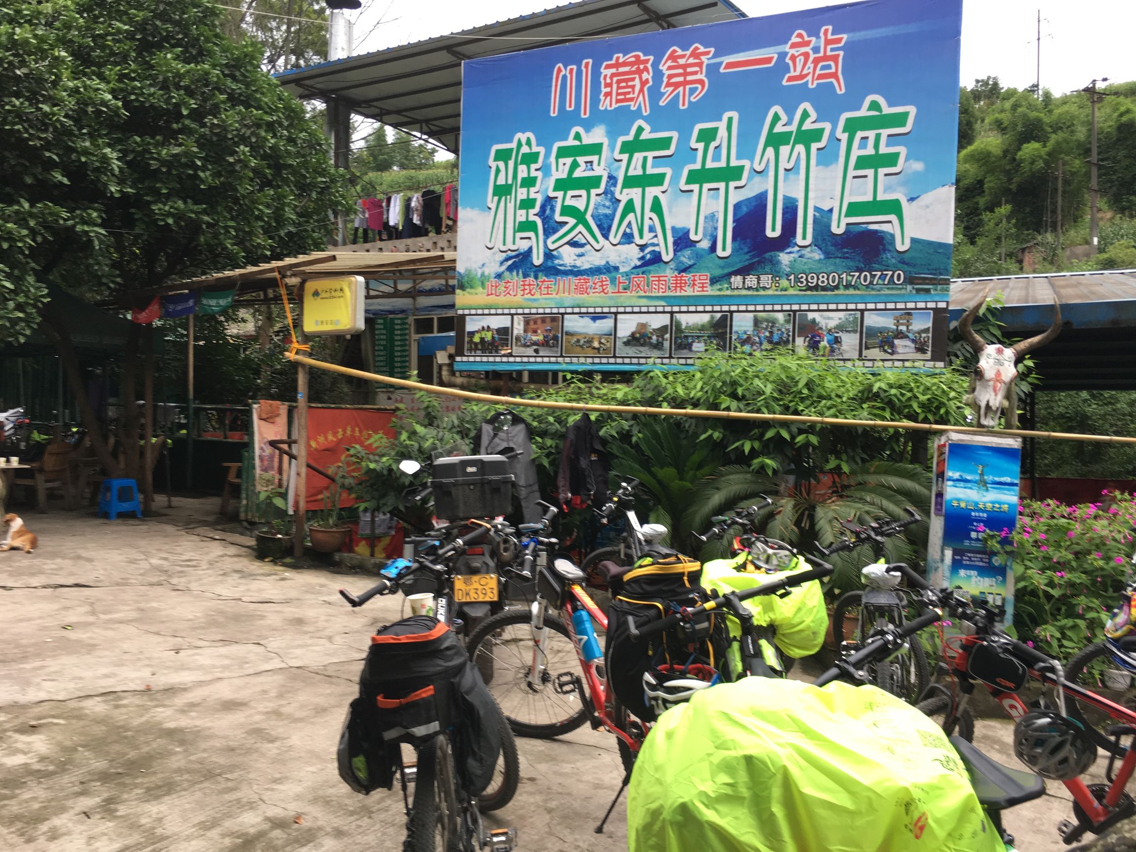 阿伟骑行西藏拉萨,骑行318川藏线雅安