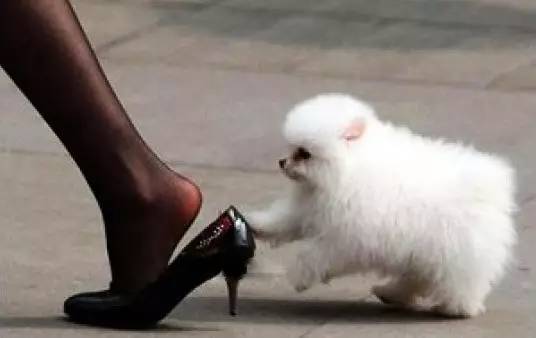 鞋子穿不稳老是掉跟,鞋子掉后跟处理妙招