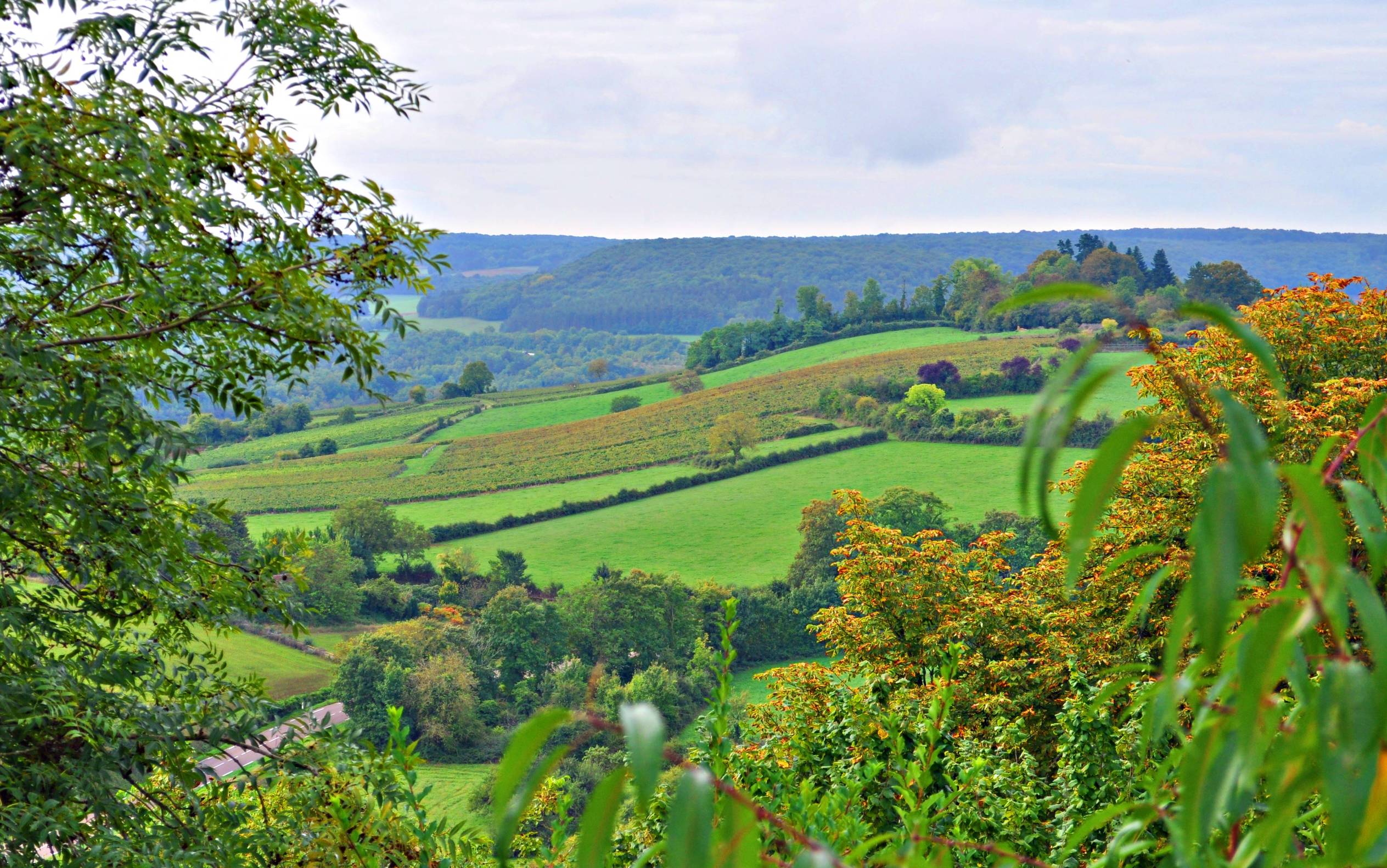 这个神秘又秀丽的法国弹丸小城，曾与耶路撒冷、梵蒂冈、圣雅克齐名，贵为世界宗教圣地